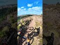Ae forest The Shredder #mtb #mountainbiking