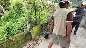 Một ngày làm việc của nhân viên công ty Dinh Heo Rừng 