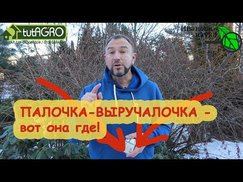 ПОЛЕЧИЛИ СЕБЯ - ПОМОГИТЕ И РАСТЮХАМ. Биопрепараты из... АПТЕКИ! Ветом, споробактерин, биоспорин...