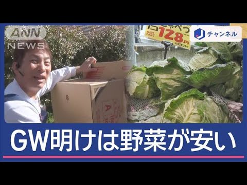 仕入れ1.5倍「本気モード」　野菜価格↓狙い目は【スーパーJチャンネル】(2025年5月7日)