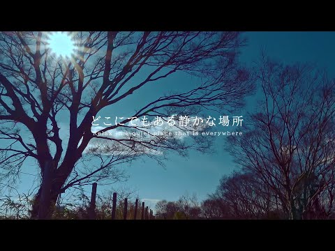 どこにでもある静かな場所  風の音 | 3時間 wind sound |  ASMR | 睡眠