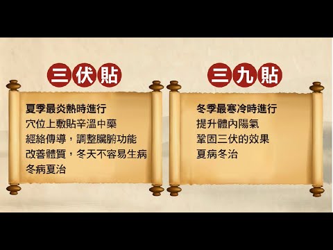三伏貼/三九貼  敷貼入門指南！ 保健達人必看！