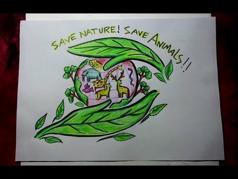 Save Animals Chart