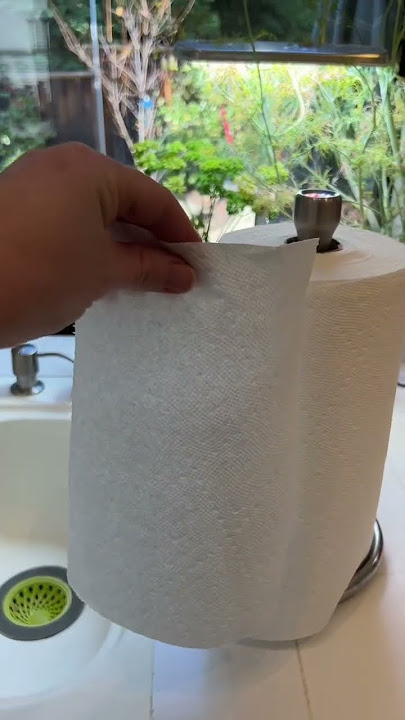 Polder Paper Towel Holder, Single-Tear
