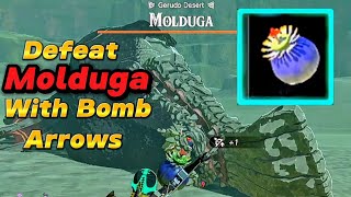 Totk Molduga: Easily Defeat as a Beginner