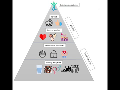 Video: Ehtiyaclar: özünüzü Başqalarından Necə Ayırd Etmək Olar