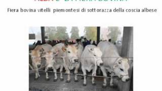 ALBA AMBIENTE E AGRICOLTURA 2011: BILANCIO DI UN ANNO INSIEME
