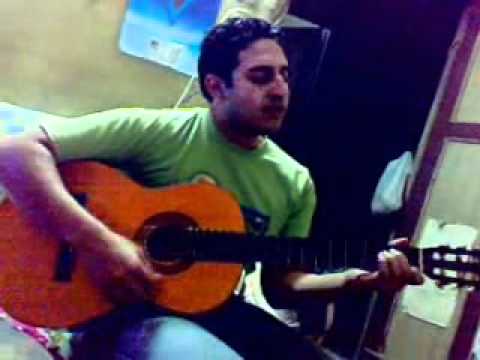 كوكتيل حماقى على تامر على عمرو دياب