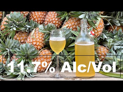 Homemade PINEAPPLE WINE with 11.7% of ALCOHOL