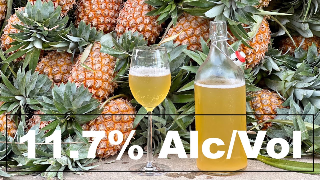 ⁣Homemade PINEAPPLE WINE with 11.7% of ALCOHOL