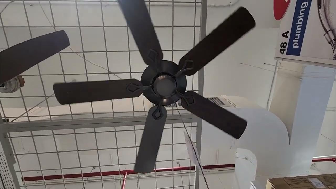 turning on some ceiling fans at ace hardware YouTube