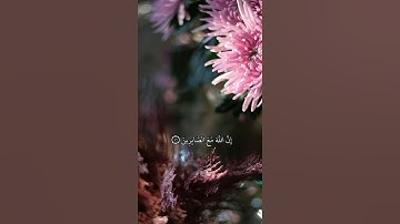 إِنَّ اللَّهَ مَعَ الصَّابِرِينَ ﴿٤٦﴾ سورة اﻷنفال 🌙💚💕