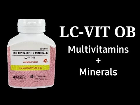 lc vit for dog