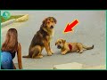 Animals That Asked People for Help & Kindness Caught On Camera! Best moments of 2025 #65