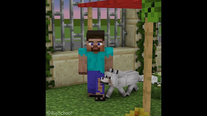Are Steve And His Dog Worthy Of Being The Heroes? 👍️