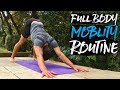 15 Minute Full Body Mobility Routine (FOLLOW ALONG)