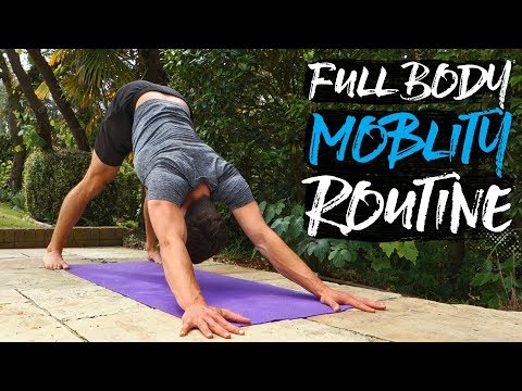 15 Minute Full Body Mobility Routine (FOLLOW ALONG)