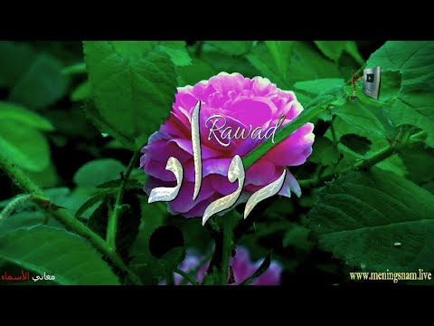 ما معنى اسم رواد وبعض من صفات حامل وحاملة هذا الاسم على قناة معاني الاسماء 