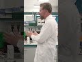Осязашка. Путину в Сириусе показали, как можно почувствовать шерсть кошки при прикосновении к экрану