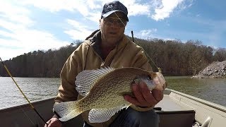 Crappie Fishing SLABS!!! My Favorite Jig Colors For Muddy Water