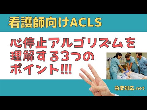 【看護師向けACLS】心停止アルゴリズムを理解する3つのポイント【急変対応.net】