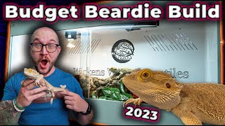 The Perfect Bearded Dragon Enclosure Setup for ANY Budget!