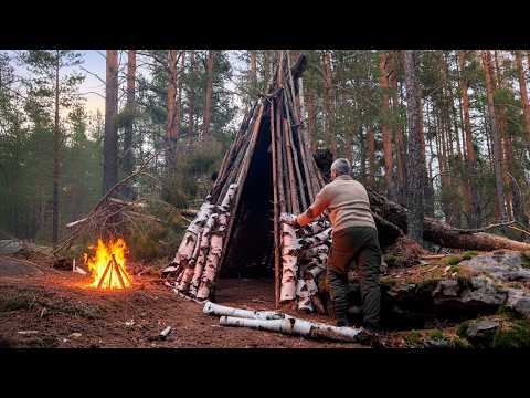 24 Hours Survival Tipi Shelter Under A Fallen Tree Root No Talking ASMR 24 Hours Survival Tipi Shelter Under A Fallen Tree Root No Talking ASMR