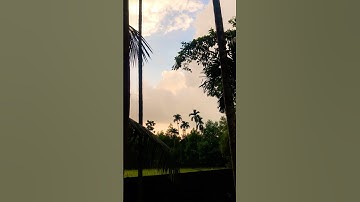 1 subscribe plz #egzonibrahimi #سورة_الإخلاص #ikhlas #quran #nature #qoraniyat421 #mrbeastclothing