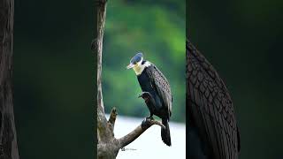 birders celebrate the sighting. As photographers, we make people feel it.