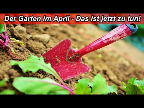 Video: Gartenkalender Für April. Gartenarbeit Und Gartenarbeit Im April