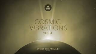 Synkro Feel My Mind