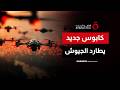 معضلة الجيوش الكبرى المسيرات الحديثة كابوس يؤرق الدول بسبب التكلفة الاقتصادية لإسقاطها 