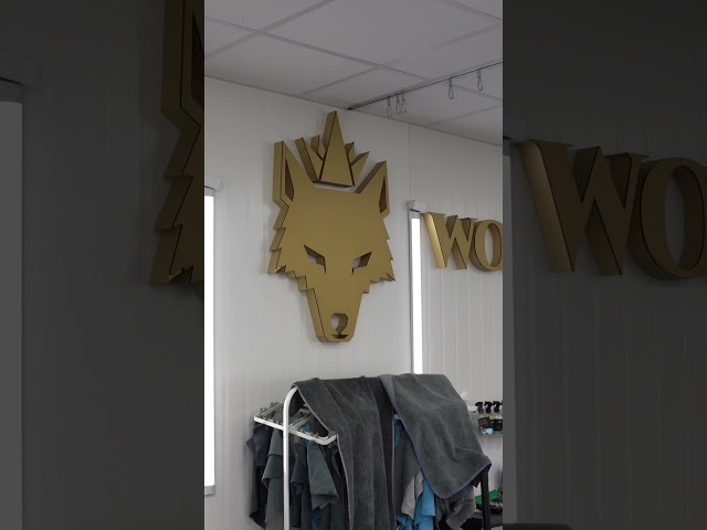 Bitwa Detailingowa KING WOLF | CUBE DETAILING