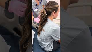 Baseline assessment passoff snow college nursing