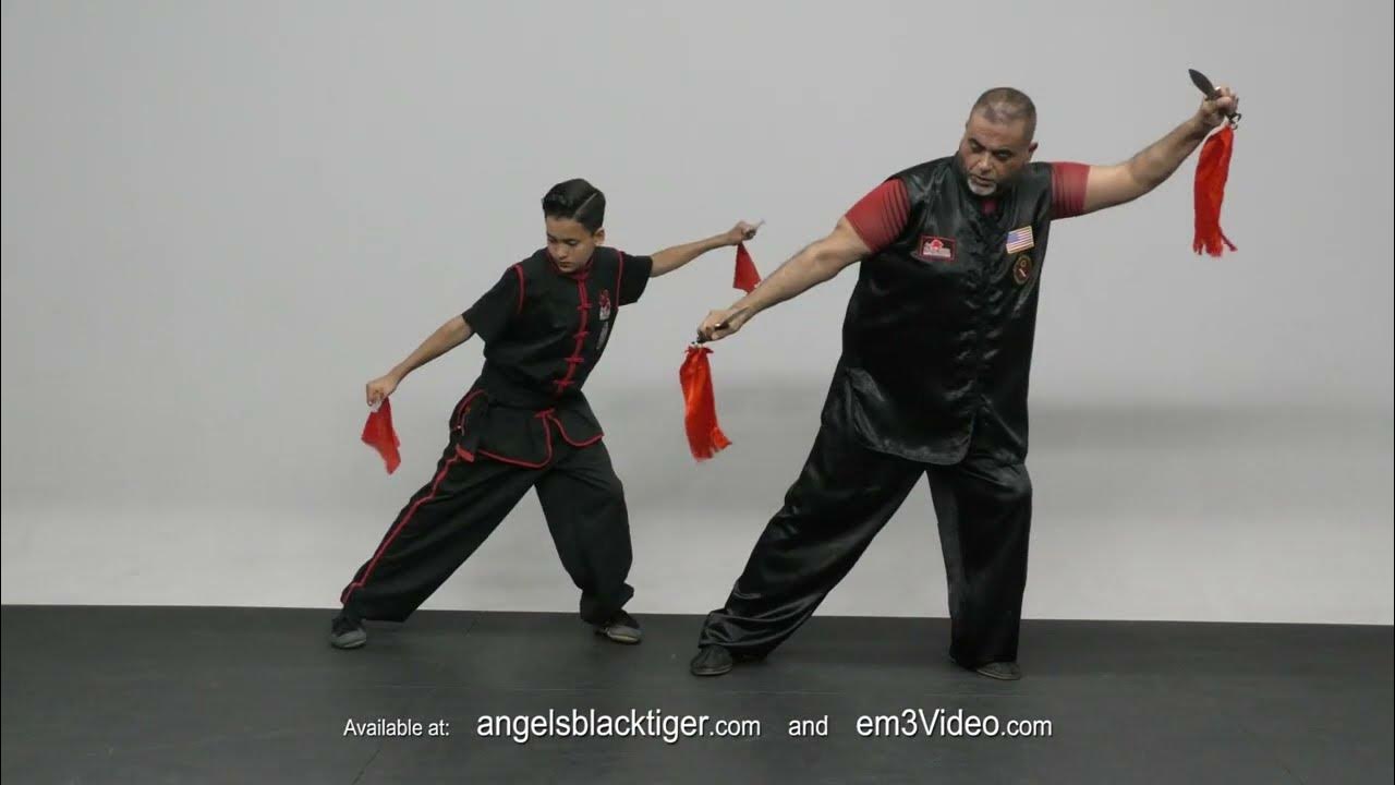 Ng Ga Kuen Kung Fu Vol4 DOUBLE DAGGERS FORM by SiGung Angel