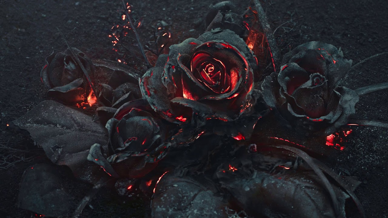 Future - Maybach [LYRICS]