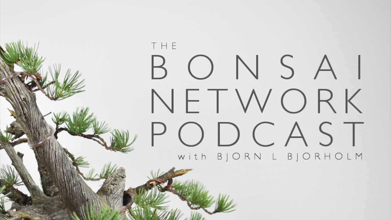 Bonsai Network Podcast Overwintering Bonsai YouTube