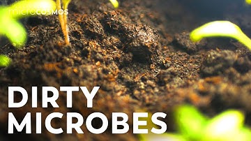 The Micro World Right Under Your Feet