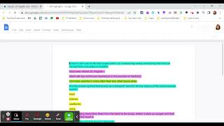 Strategic Highlighting Strategy when Reading in Read&Write or OrbitNote