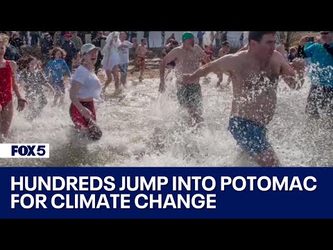 Hundreds jump into the Potomac River to raise awareness about climate change
