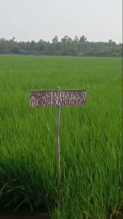 dilarang mancing #km52