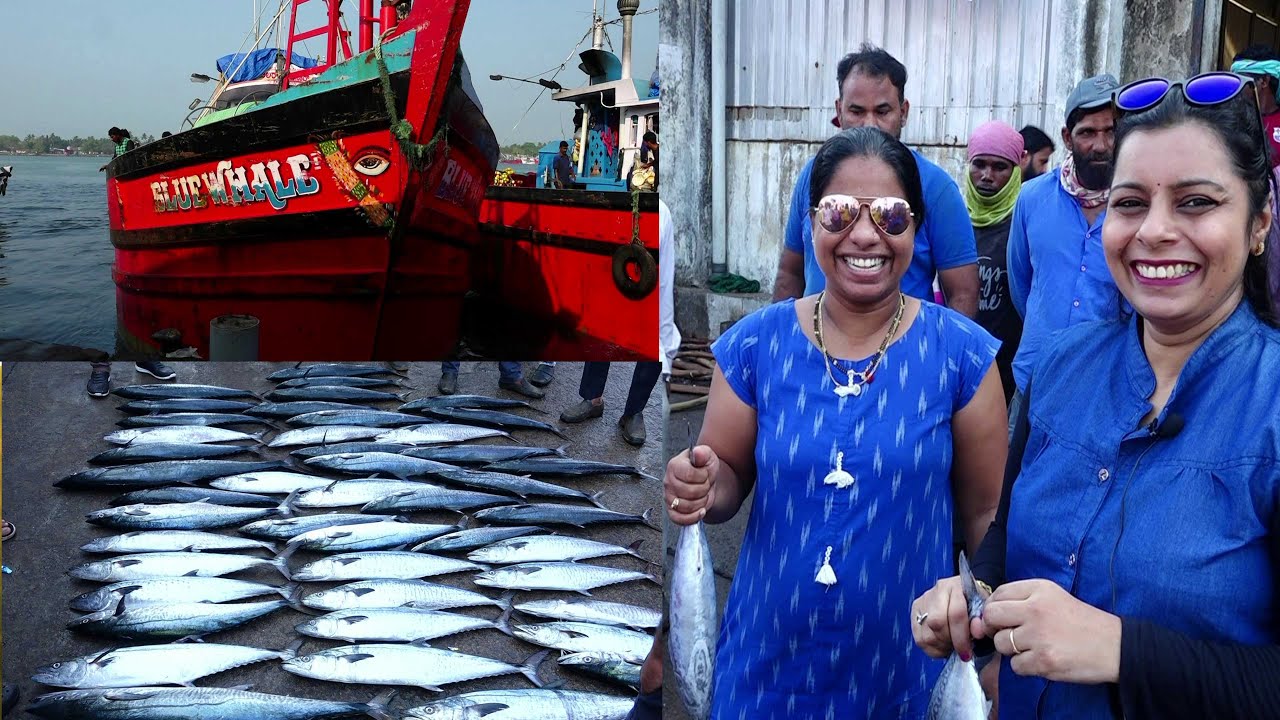 ಕುಡ್ಲದ ಧಕ್ಕೆಡೂಂಜಿ ದಿನ(ಮೀನುಗಾರಿಕಾ ಬಂದರು)Mangalore Port Dhakke Bunder …(In Tulu)