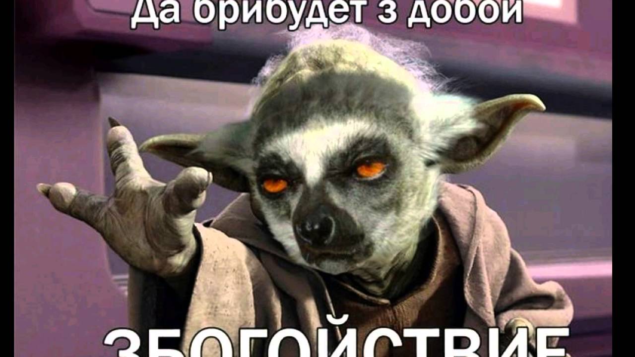 Успокойся прикол картинка