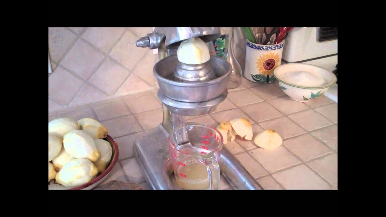 HOMEMADE LIMONCELLO (SHTF ANTI- SCURVY MEDICINE) shooting in dc