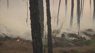 Jugando con fuego: México, consumido por incendios forestales