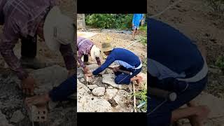 Con Rắn Bò Lạc Vào Sân Rồi Ở Lỳ không đi Làm Ông Lão Lo SỢ