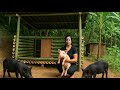 CEO leaves the city for the forest, buys pigs to raise, Cooking .