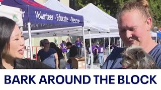 Animals from shelters across California looking for forever homes | KTVU
