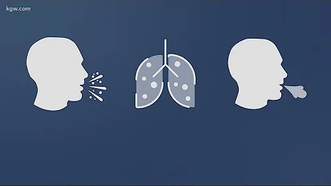 VERIFY: Cloth masks won't protect you from wildfire smoke