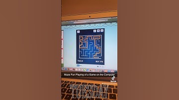 Maze Fun Playing of a Game on the Computer